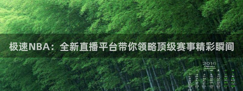 极速NBA：全新直播平台带你领略顶级赛事精彩瞬间