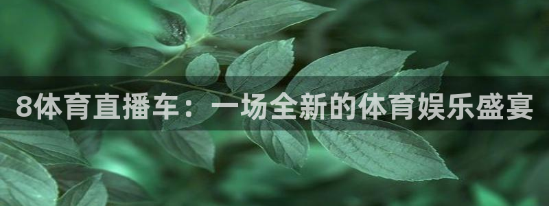 8体育直播车：一场全新的体育娱乐盛宴