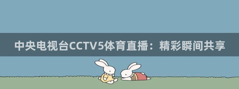 中央电视台CCTV5体育直播：精彩瞬间共享