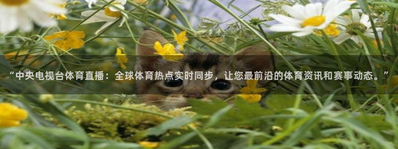 “中央电视台体育直播：全球体育热点实时同步，让您最前沿的体育资讯和赛事动态。”