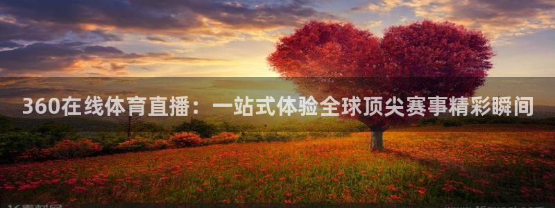 360在线体育直播：一站式体验全球顶尖赛事精彩瞬间