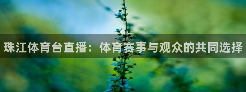 珠江体育台直播：体育赛事与观众的共同选择