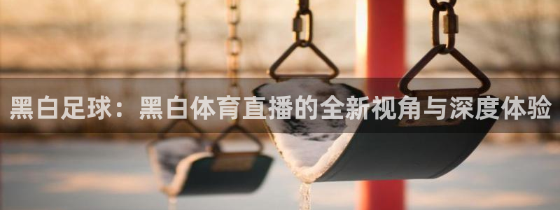 黑白足球：黑白体育直播的全新视角与深度体验