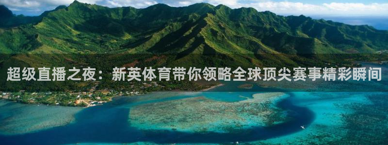 超级直播之夜：新英体育带你领略全球顶尖赛事精彩瞬间