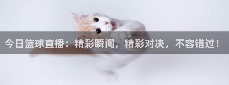 今日篮球直播：精彩瞬间，精彩对决，不容错过！
