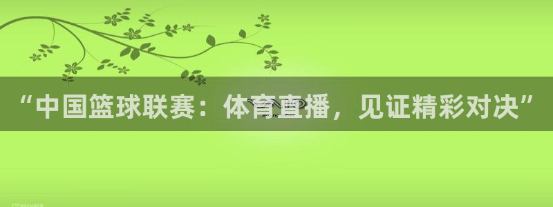 “中国篮球联赛：体育直播，见证精彩对决”