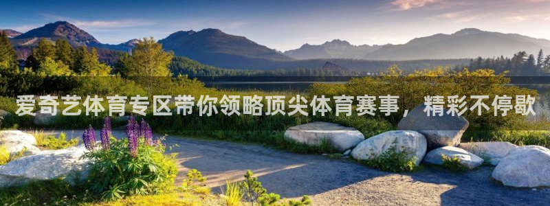 爱奇艺体育专区带你领略顶尖体育赛事，精彩不停歇