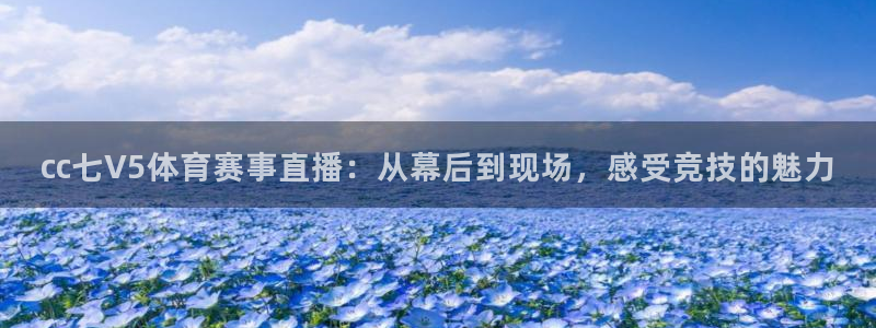 cc七V5体育赛事直播：从幕后到现场，感受竞技的魅力