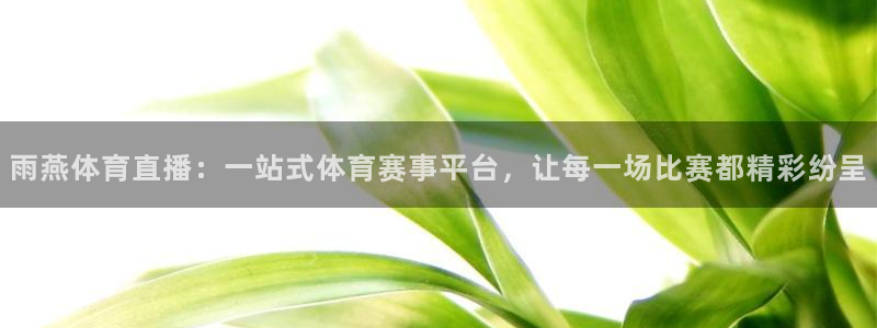 雨燕体育直播：一站式体育赛事平台，让每一场比赛都精彩纷呈