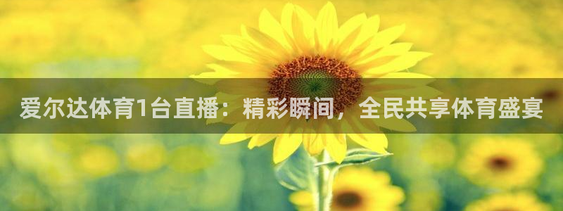 爱尔达体育1台直播：精彩瞬间，全民共享体育盛宴